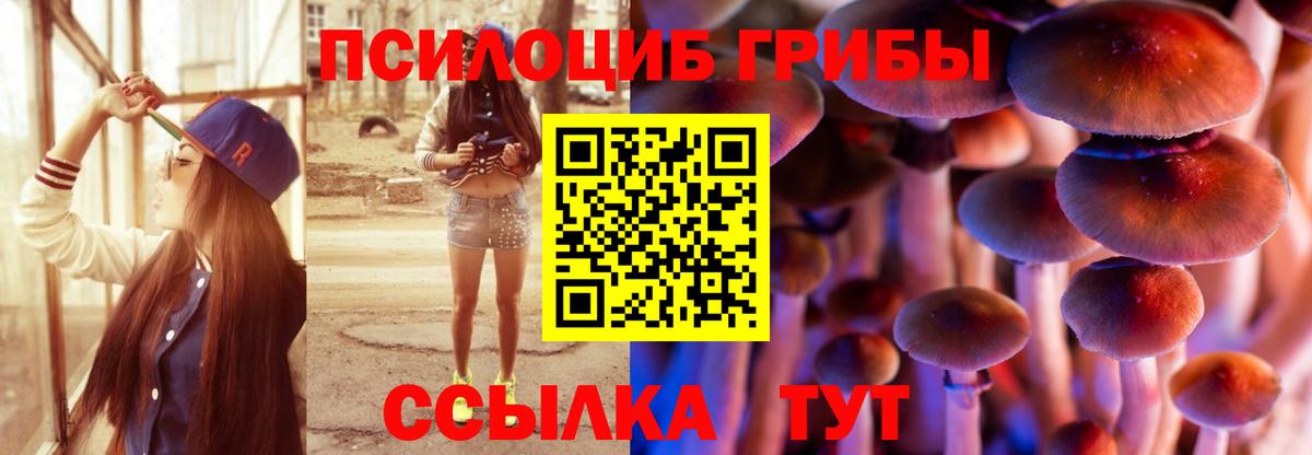 Галлюциногенные грибы GOLDEN TEACHER Сухой Лог