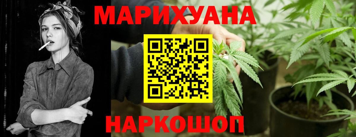Марихуана план Сухой Лог